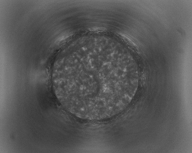 X0000116440917200912291925