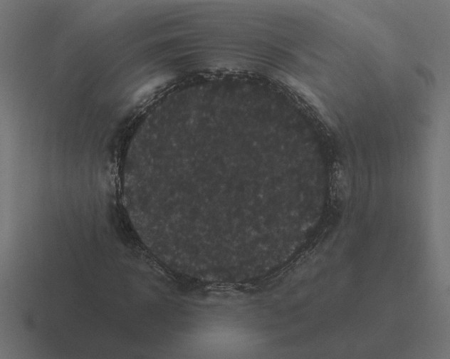 X0000116440918200912291925