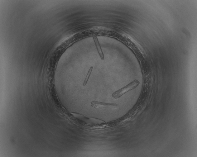 X0000116440919200912291925