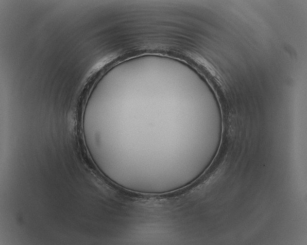 X0000116440922200912291925