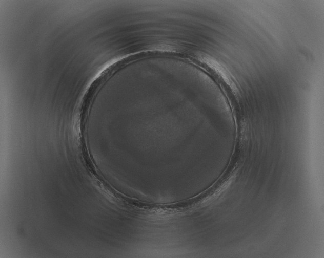 X0000116440923200912291925