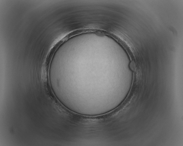 X0000116440925200912291925