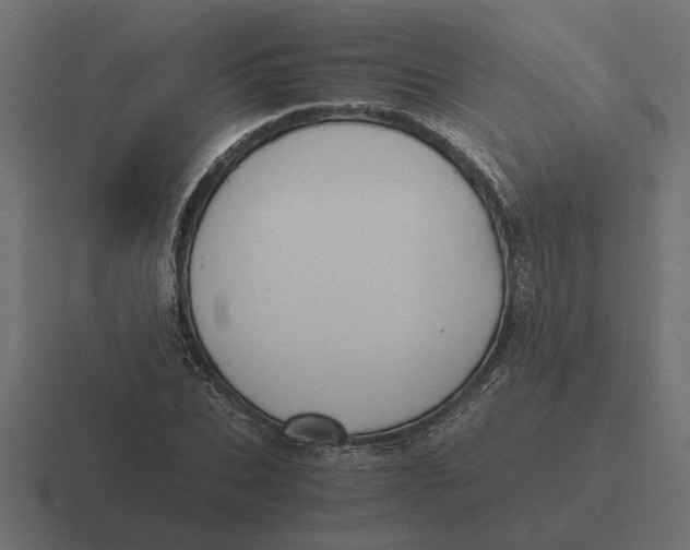 X0000116440927200912291925