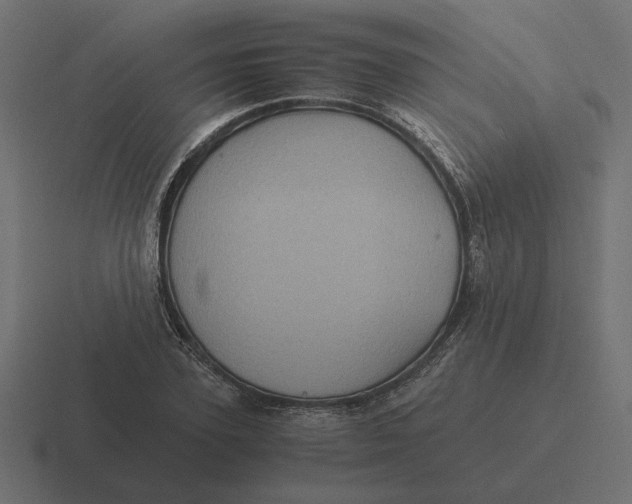 X0000116440931200912291925