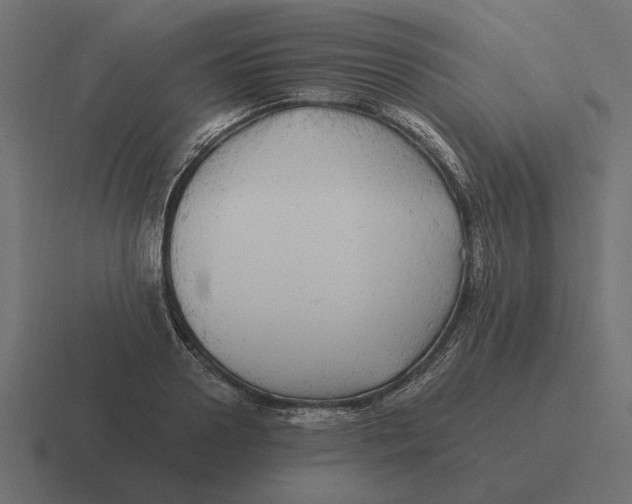 X0000116440938200912291925