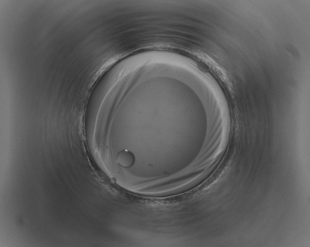 X0000116440945200912291925