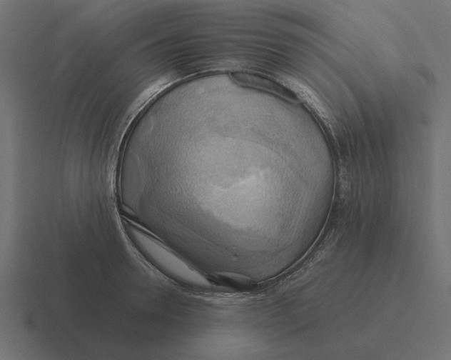X0000116440946200912291925