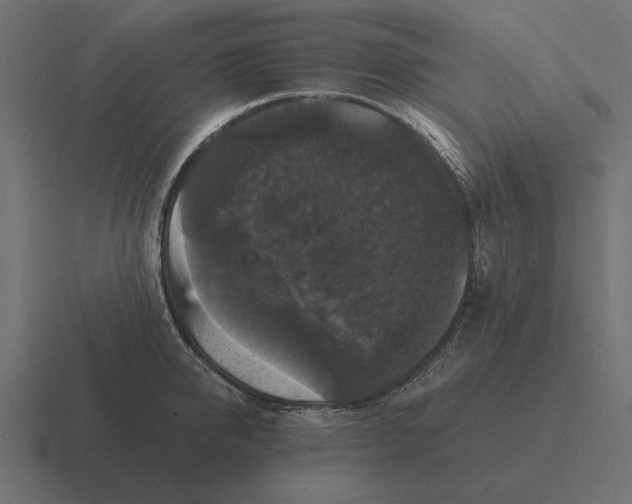 X0000116440950200912291925