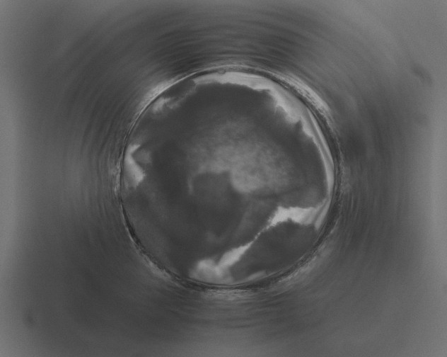 X0000116440953200912291925