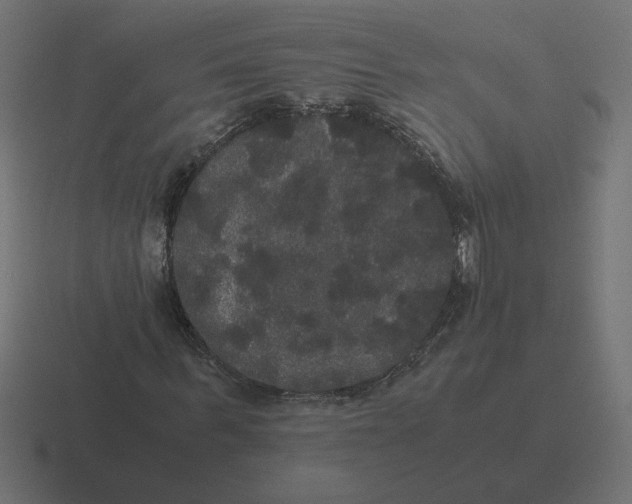 X0000116440963200912291925