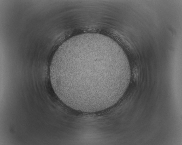 X0000116440964200912291925