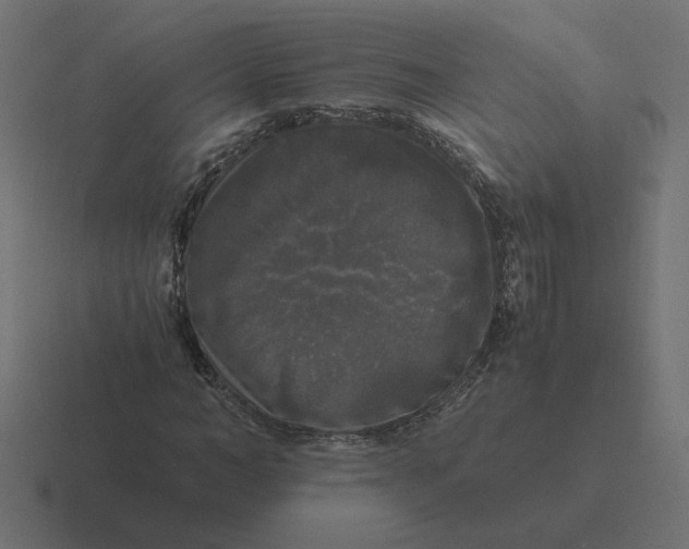 X0000116440966200912291925
