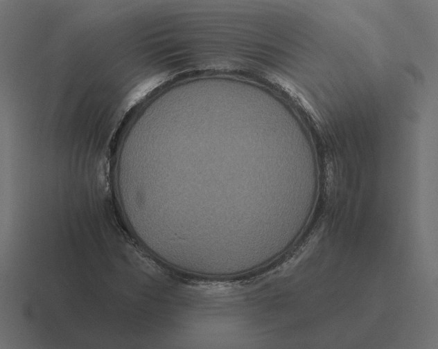 X0000116440970200912291925
