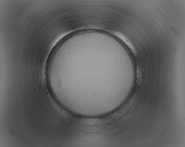 X0000116440972200912291925