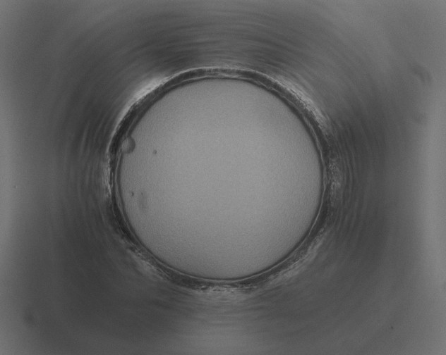 X0000116440974200912291925