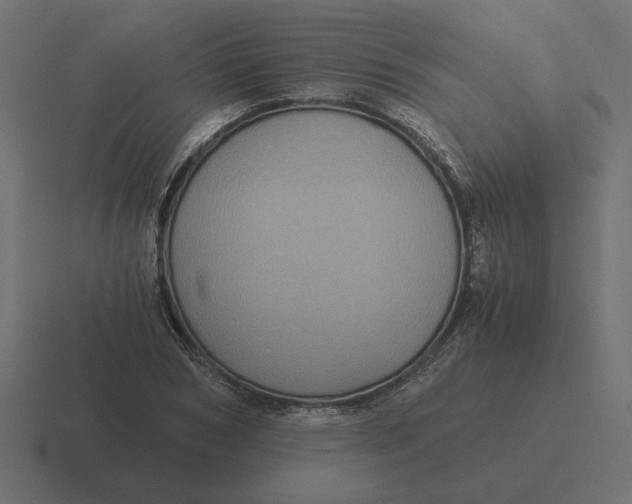 X0000116440978200912291925