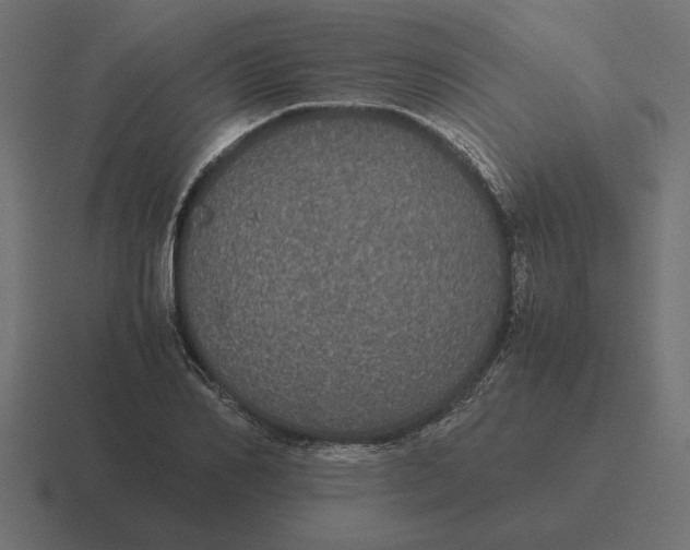 X0000116440982200912291924