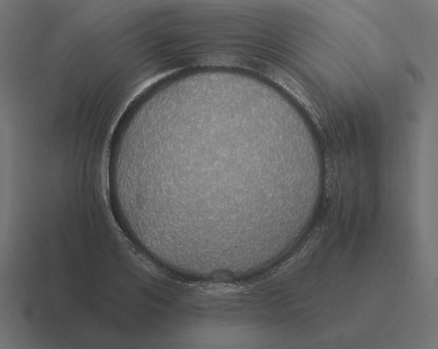 X0000116440984200912291924