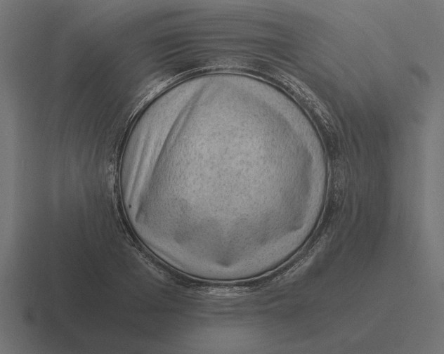 X0000116440985200912291924
