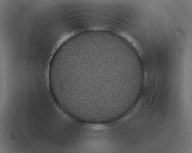 X0000116440986200912291924