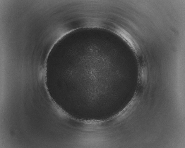 X0000116440992200912291924