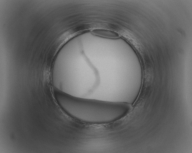 X0000116440993200912291924