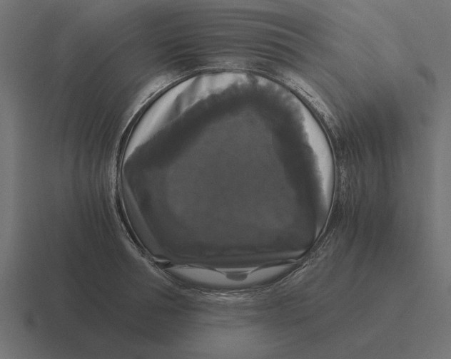 X0000116440994200912291924