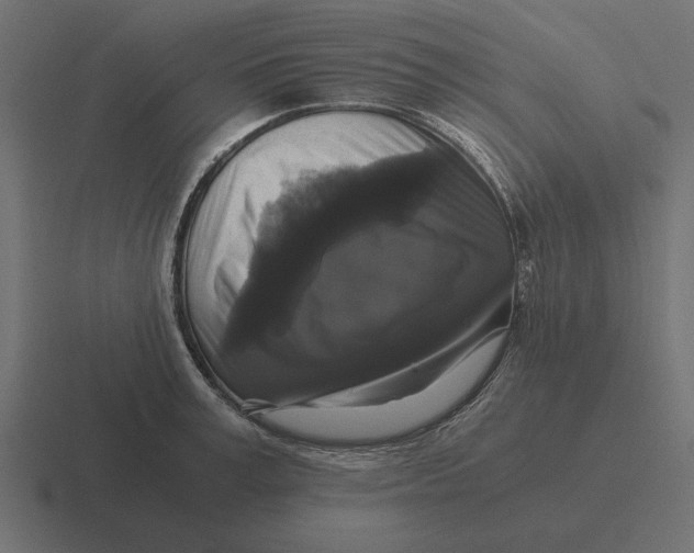 X0000116440995200912291924