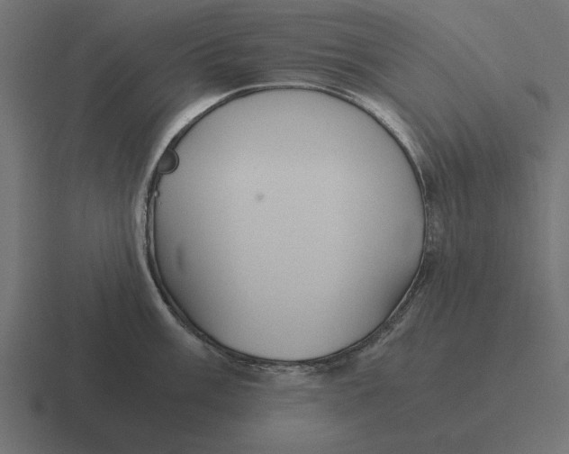 X0000116441003200912291924
