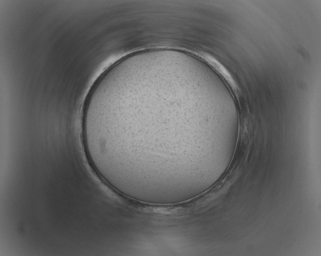X0000116441005200912291924