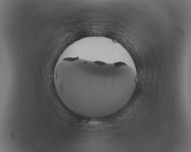 X0000116441009200912291924
