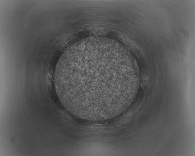X0000116441010200912291924