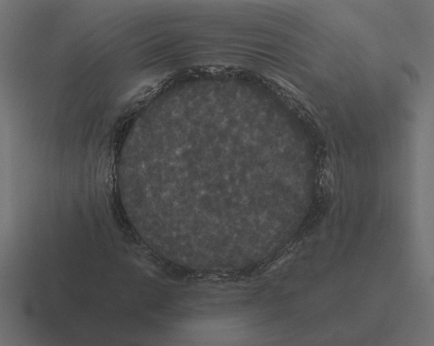 X0000116441014200912291924
