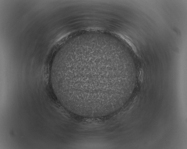 X0000116441015200912291924