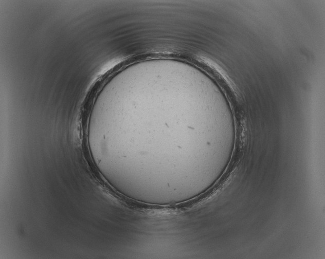 X0000116441018200912291924