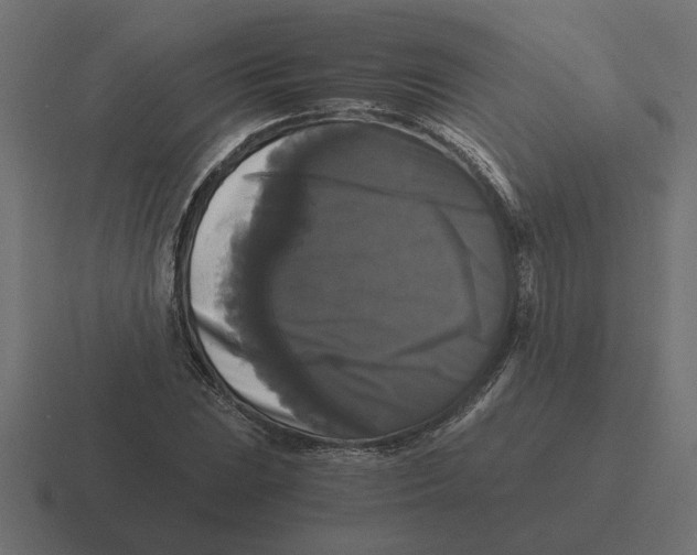 X0000116441023200912291924
