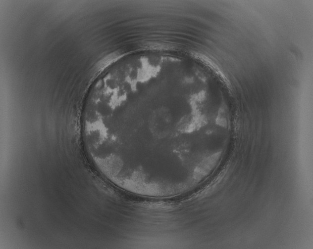 X0000116441025200912291924