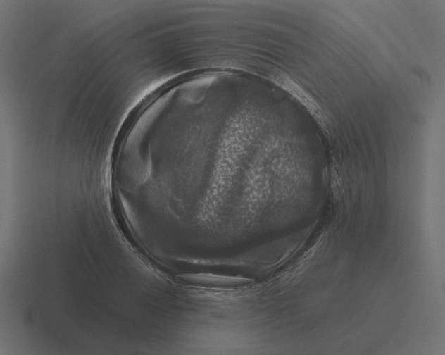 X0000116441028200912291924