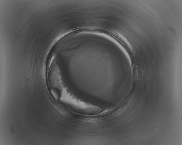 X0000116441035200912291924