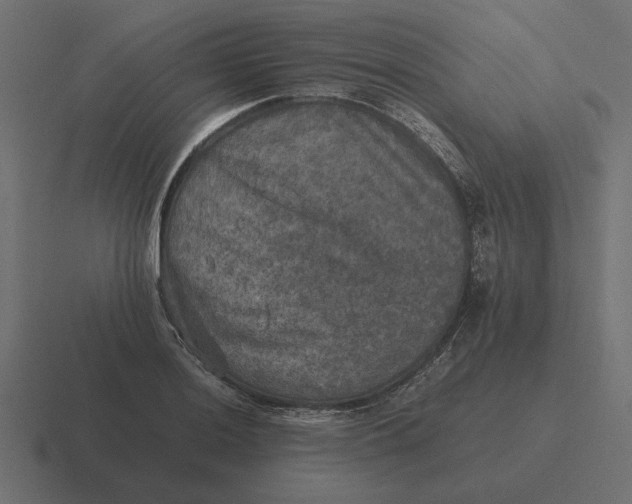 X0000116441036200912291924