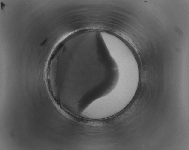 X0000116441037200912291924