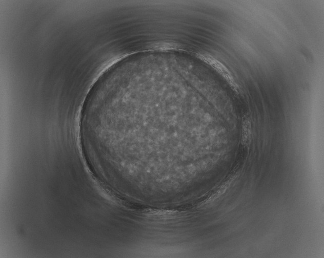 X0000116441039200912291924