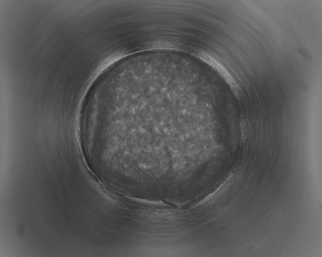 X0000116441043200912291924