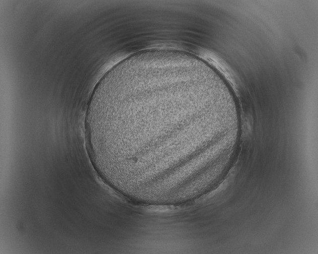 X0000116441049200912291924