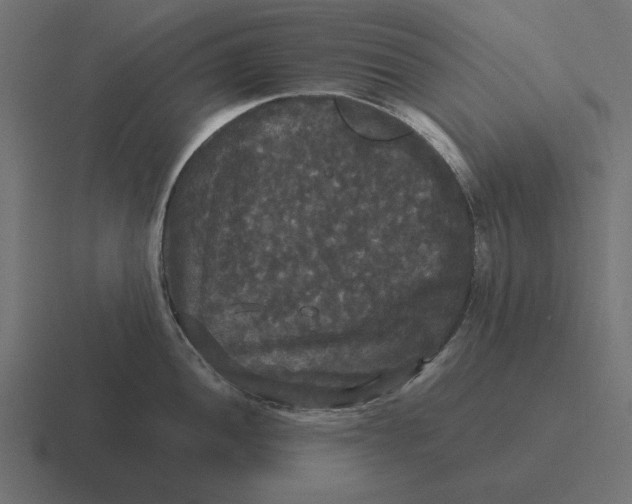 X0000116441052200912291924