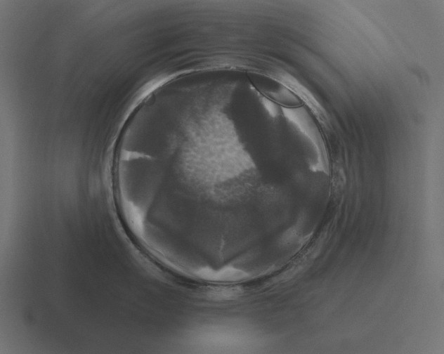X0000116441055200912291924