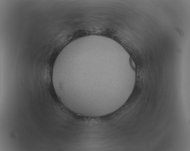 X0000116441058200912291924