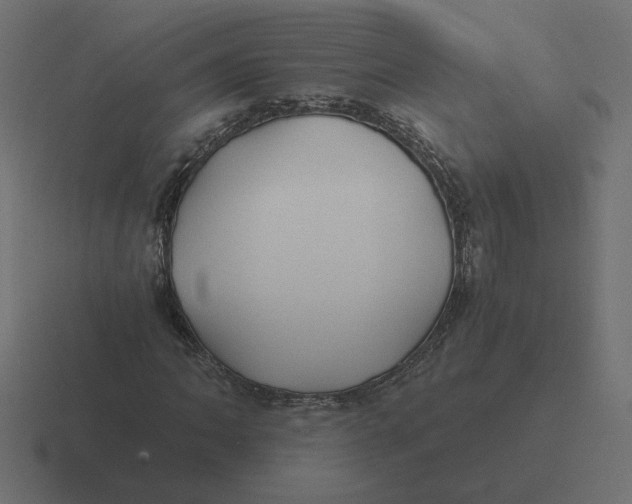 X0000116441062200912291923