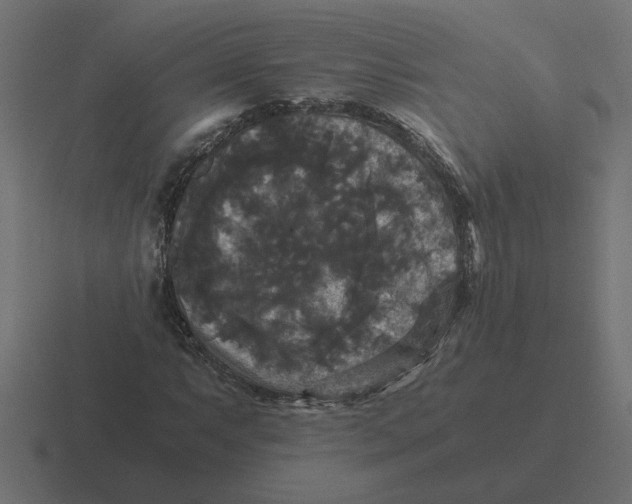 X0000116441063200912291923