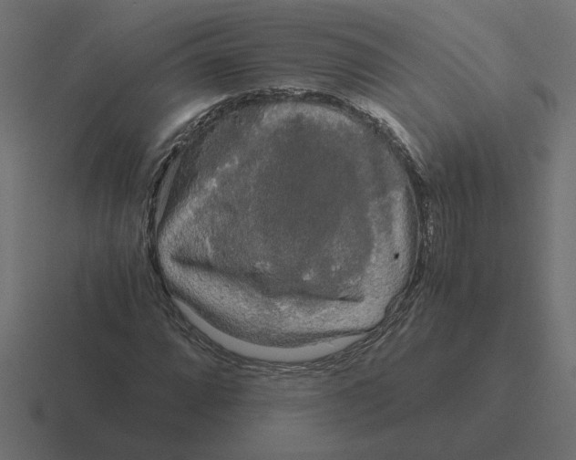 X0000116441064200912291923